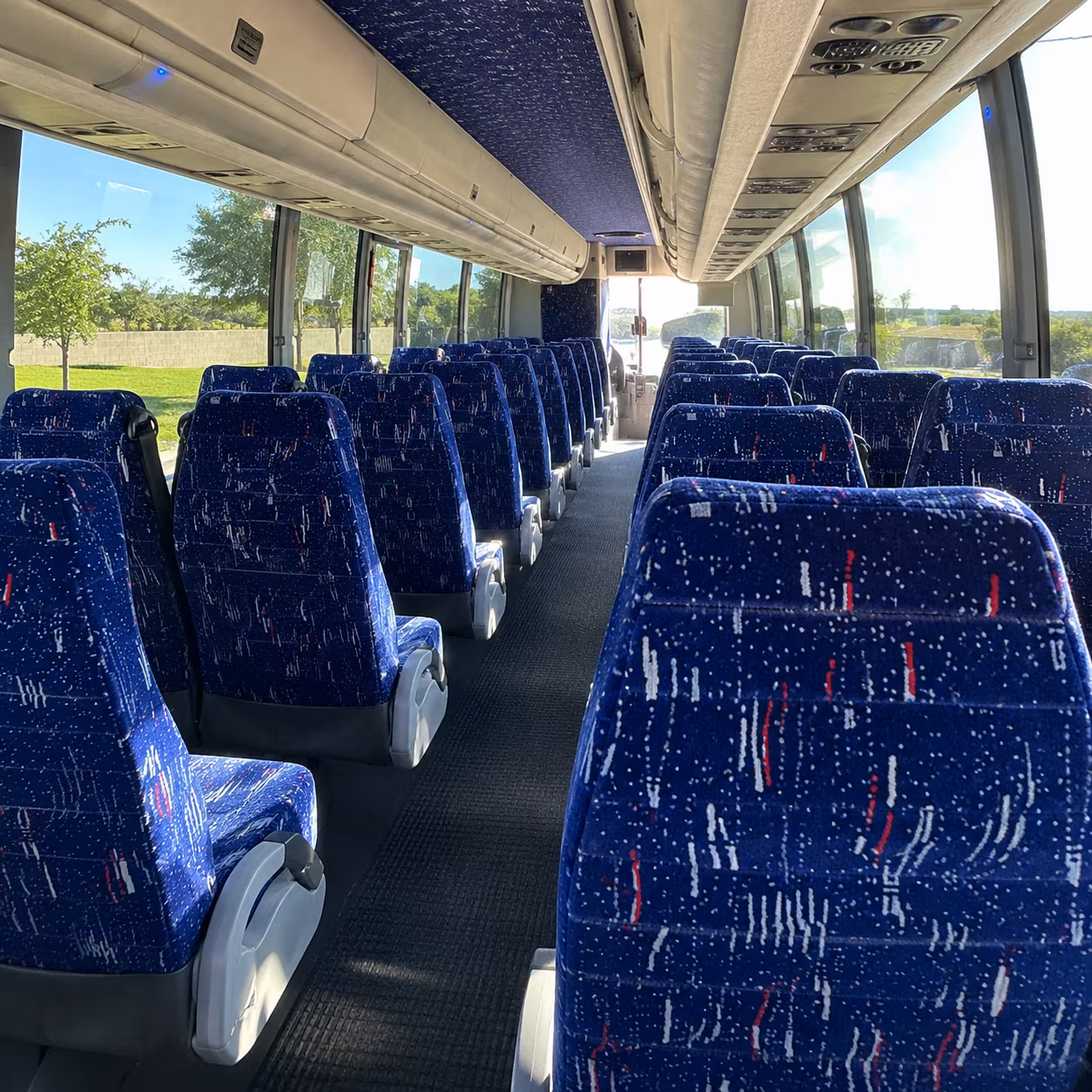 vista school bus rentals for field trips and class outings