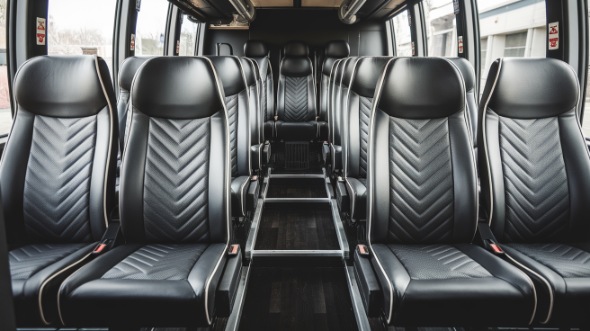 15 passenger minibus inside carlsbad