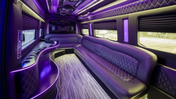 chula vista party bus rental inside